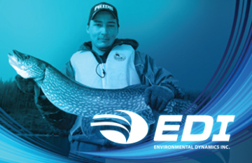 Environmental Dynamics -  branding  design  promotional